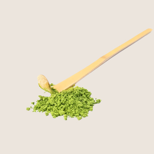 Bamboo Matcha Scoop